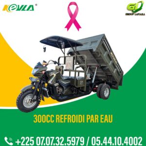 KEVLA tricycle 300ZH