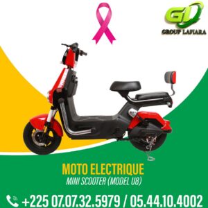 Moto électrique