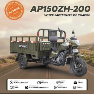 APSONIC Tricycle CARGO 200ZH