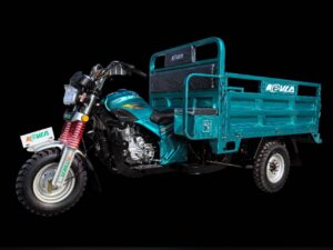 KEVLA tricycle 175ZH