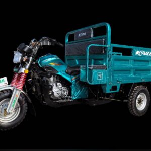 KEVLA tricycle 175ZH